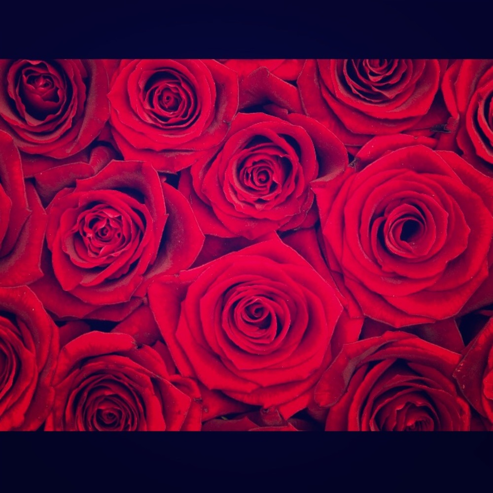 Meet your Posher, Katrina